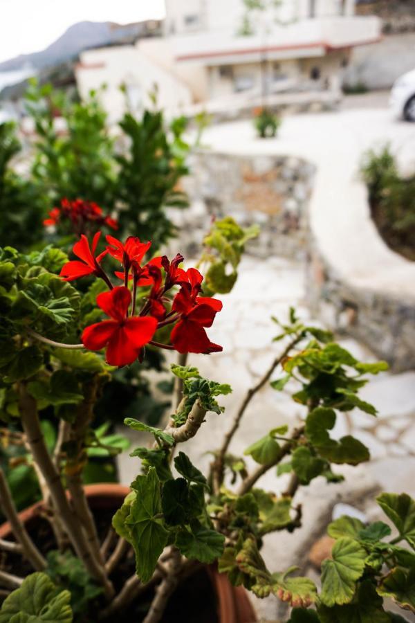Porto Lassea Villa Kali Limenes Bagian luar foto